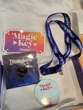 Disneyland Purple and Black Magic Key Enamel Pin